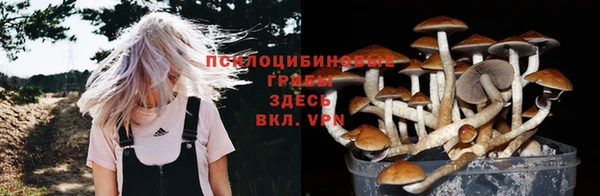 винт Балахна