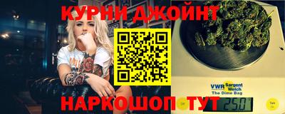 индика Бийск