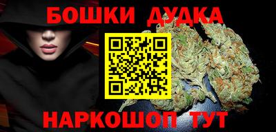 индика Бийск