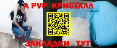 индика Бийск